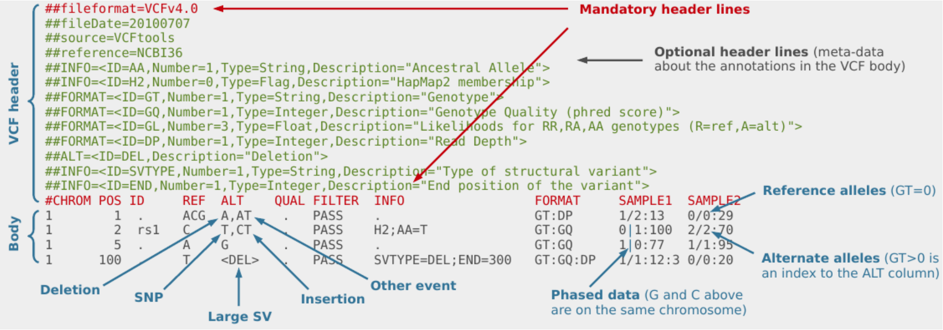 VCF format