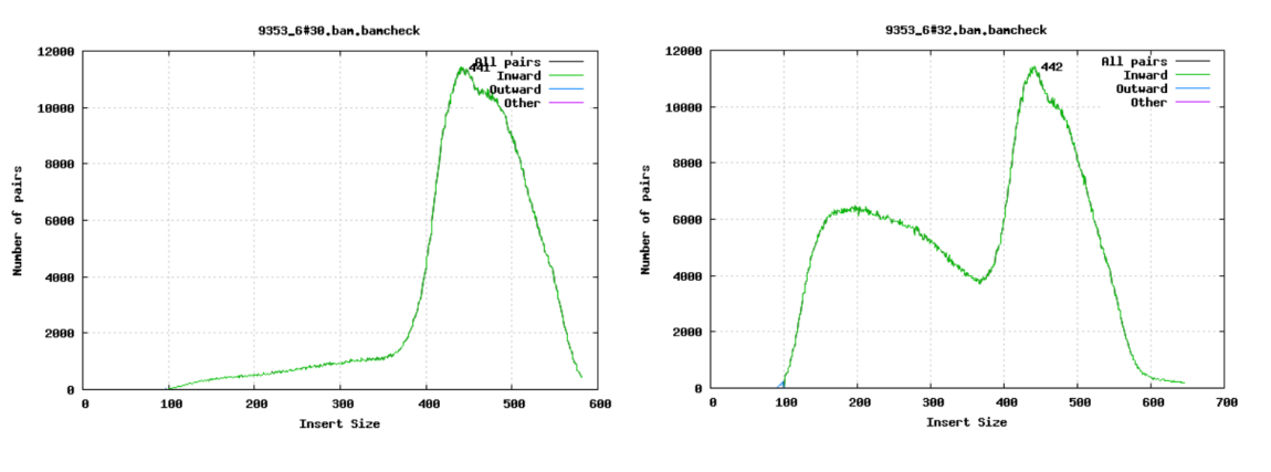 Fragment size distribution