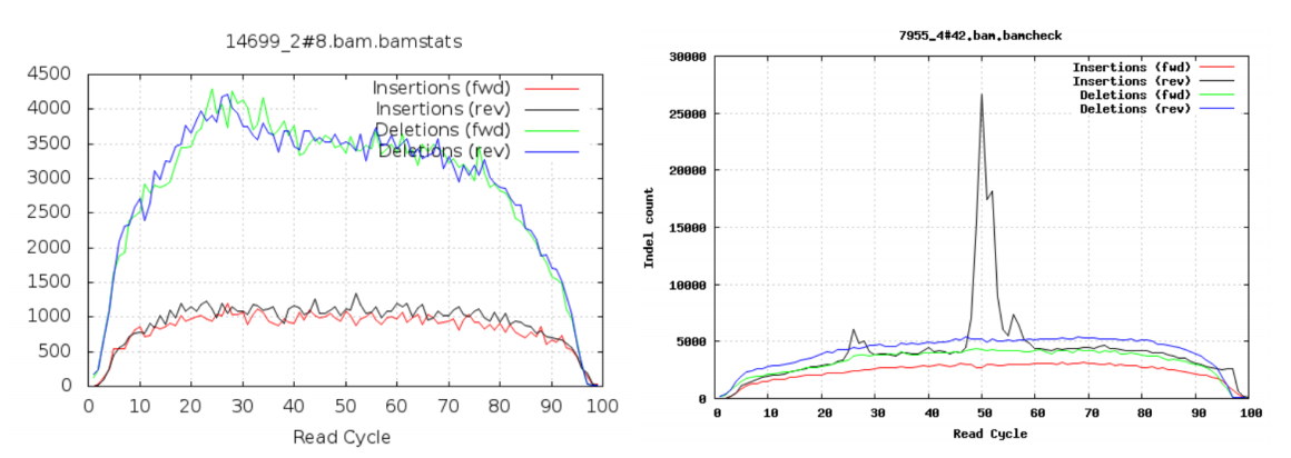 Indels per cycle