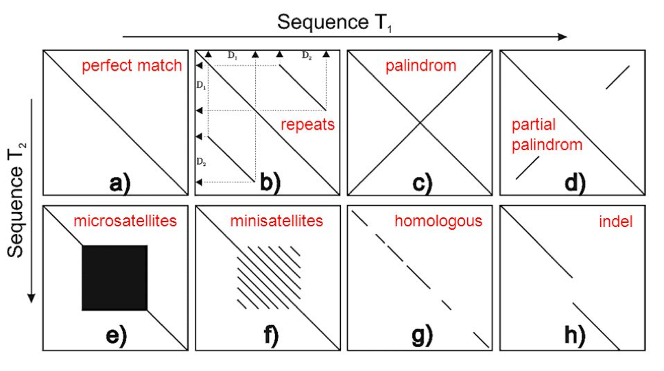 dotplot