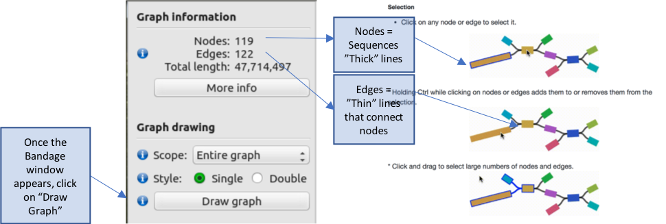 load_graph