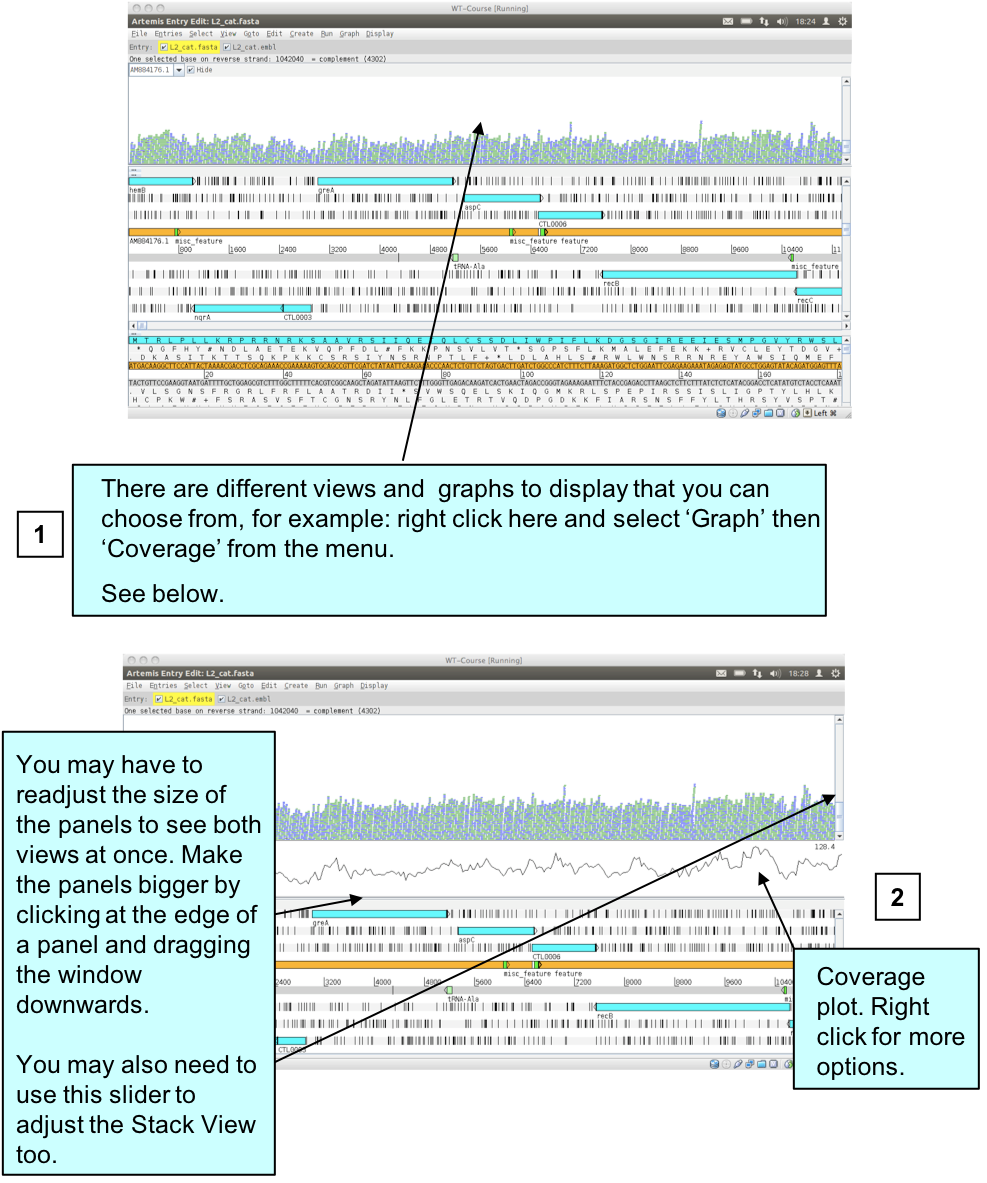 artemis_duplicates_coverage