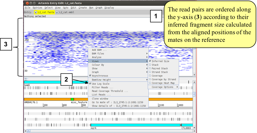 artemis_inferred_size