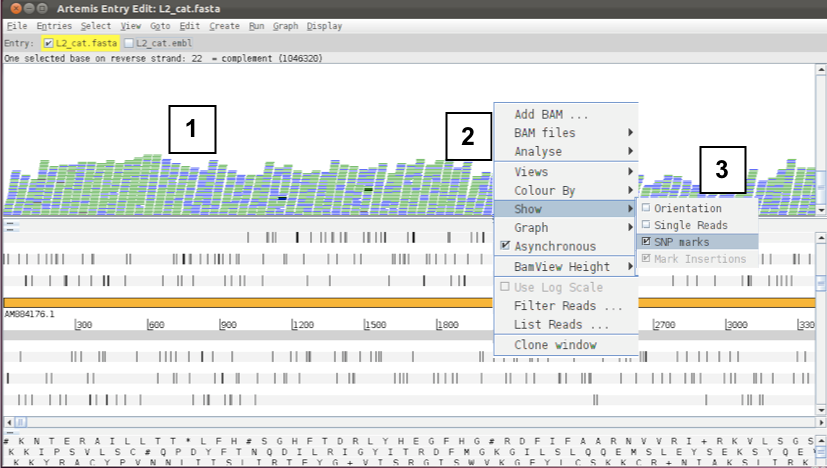 artemis_snps
