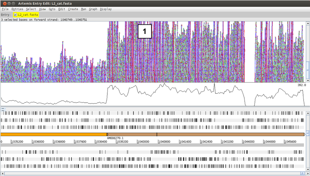 artemis_diffcoverage_w_snps