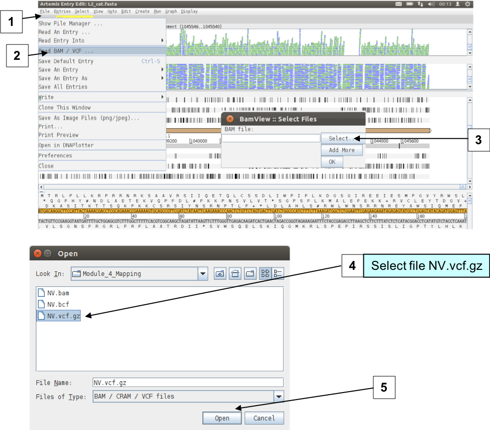 vcf_load