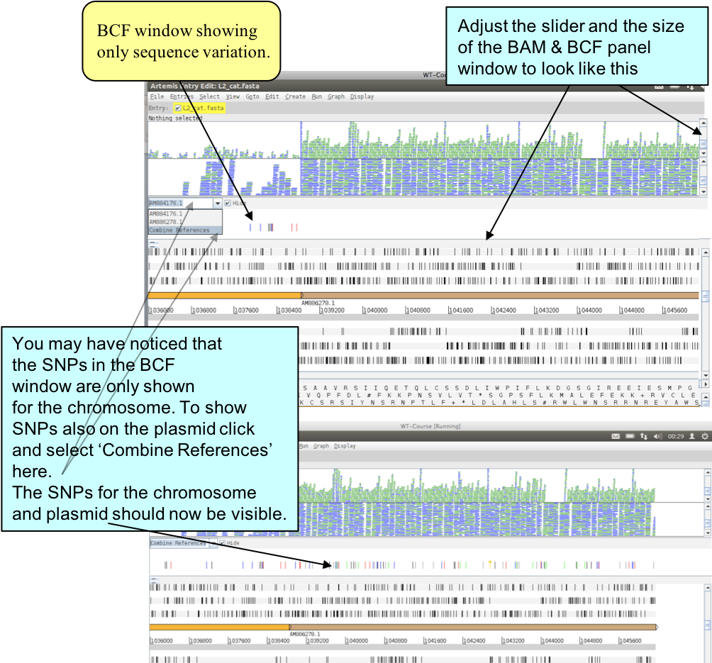 vcf_load