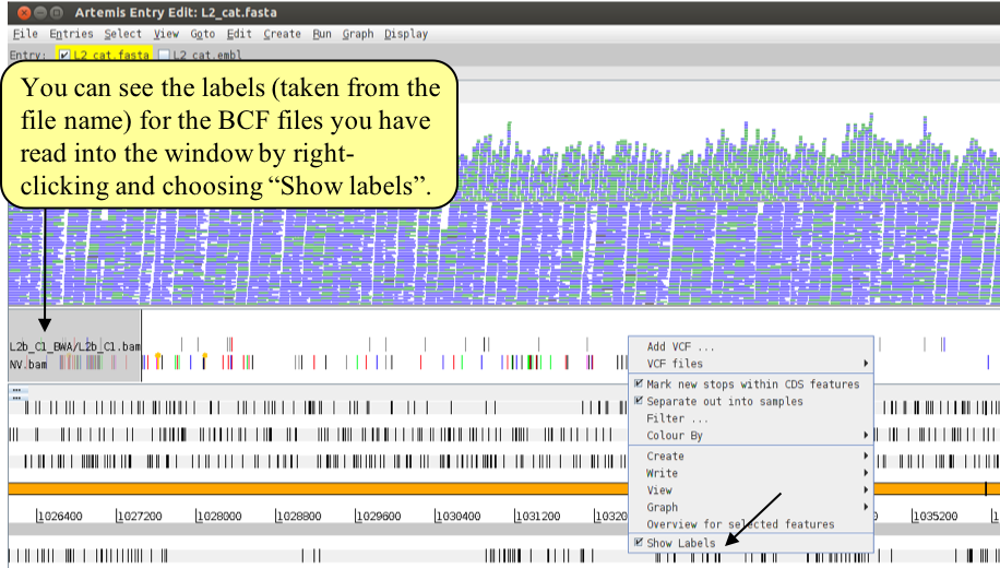 vcf_showlabels