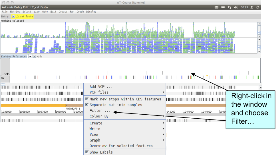 vcf_filter1