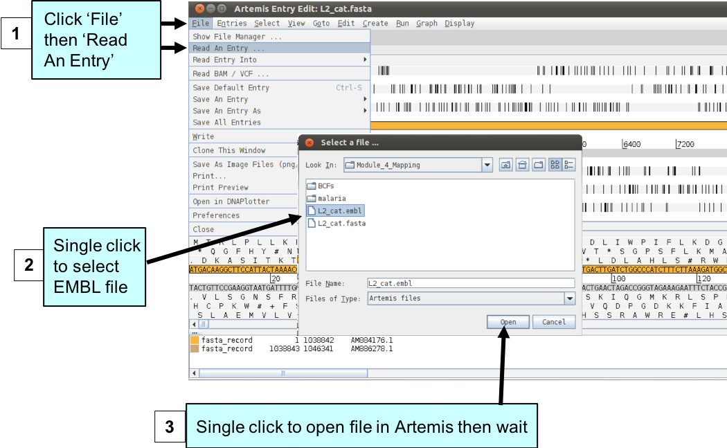 artemis_loadannotation